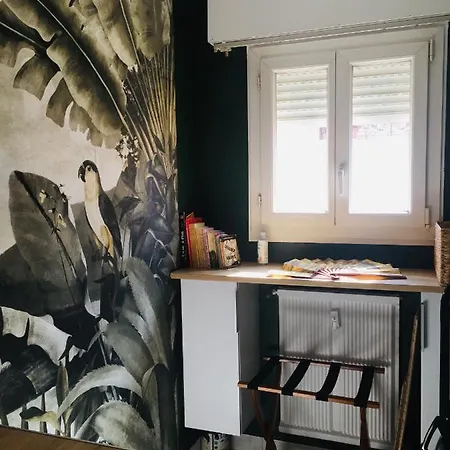 Apartment Clemenceau Cannes